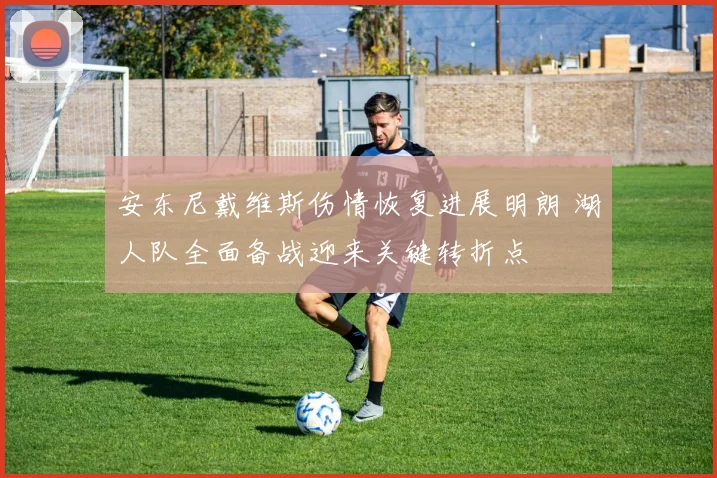 安东尼戴维斯伤情恢复进展明朗 湖人队全面备战迎来关键转折点